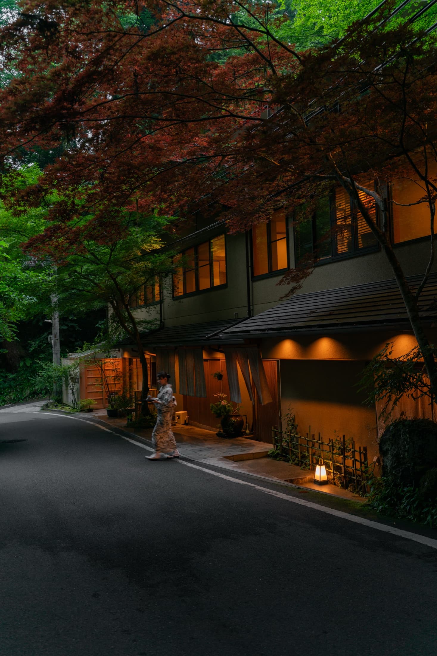 Bob 环境摄影 02